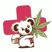 Rasta Koala